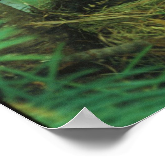 Moeder Voedervocht Voedervocht Hongaarse Baby Voge Poster (Hoek)