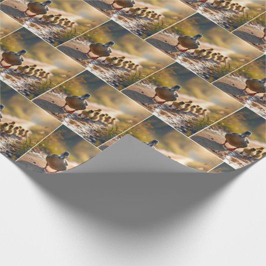 Moeder wilde eend met eendjes cadeaupapier (Hoek)