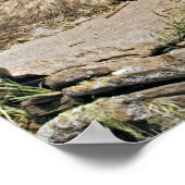 Moeder Wolf met 2 Cubaanse Poster (Hoek)