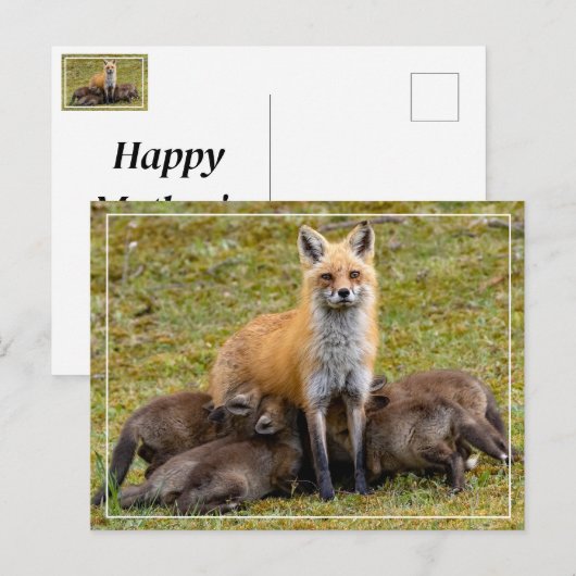 Moeder zal zijn als feestdagenkaart (Voorkant / Achterkant)