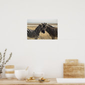 Moeder zebra en jonge zebra poster (Keuken)