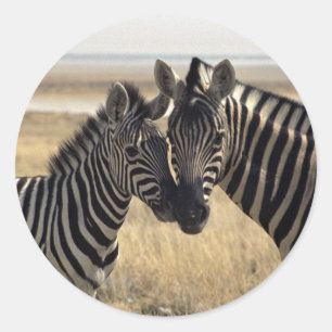 Moeder zebra en jonge zebra ronde sticker