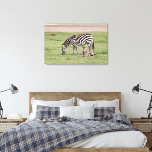 Moeder Zebra met Newborn Colt Canvas Afdruk (Insitu (Slaapkamer))