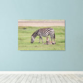 Moeder Zebra met Newborn Colt Canvas Afdruk (Insitu (Houten vloer))