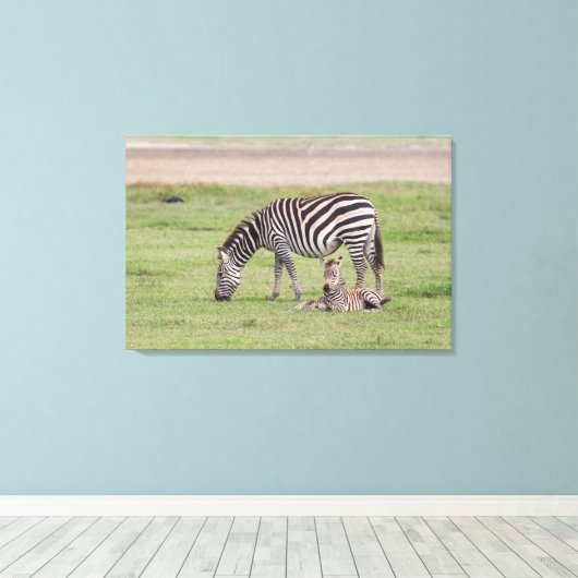 Moeder Zebra met Newborn Colt Canvas Afdruk (Insitu (Houten vloer))
