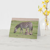 Moeder Zebra met pasgeboren kool Kaart (Gele Bloem)