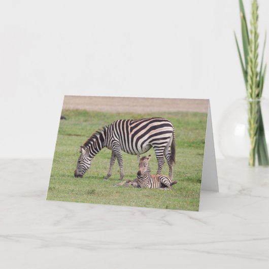 Moeder Zebra met pasgeboren kool Kaart (Voorkant)