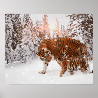 Moeder & zoon tijger poster