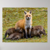 Moeder zou zijn als poster (Voorkant)