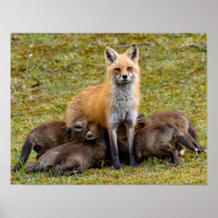 Moeder zou zijn als poster