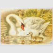 Moeder Zwaan Baby Cygnet Waterverf Look Tissuepapier (Voorkant)