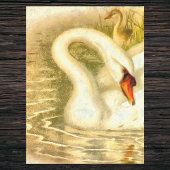 Moeder Zwaan Baby Cygnet Waterverf Look Tissuepapier