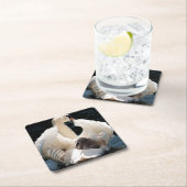 Moeder Zwan met Cygnets (baby zwanen) Kartonnen Onderzetters (Insitu)