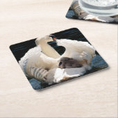 Moeder Zwan met Cygnets (baby zwanen) Kartonnen Onderzetters (Schuin)