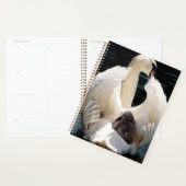 Moeder Zwan met Cygnets (baby zwanen) Planner (Display)