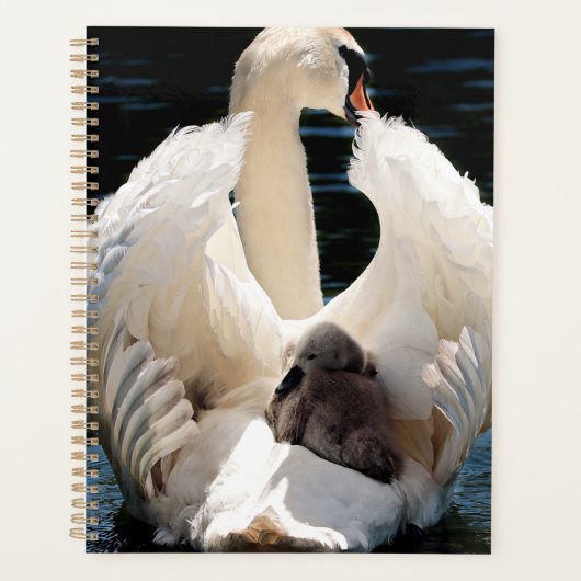 Moeder Zwan met Cygnets (baby zwanen) Planner (Voorkant)