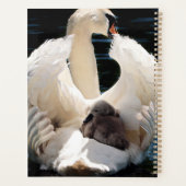 Moeder Zwan met Cygnets (baby zwanen) Planner (Achterkant)