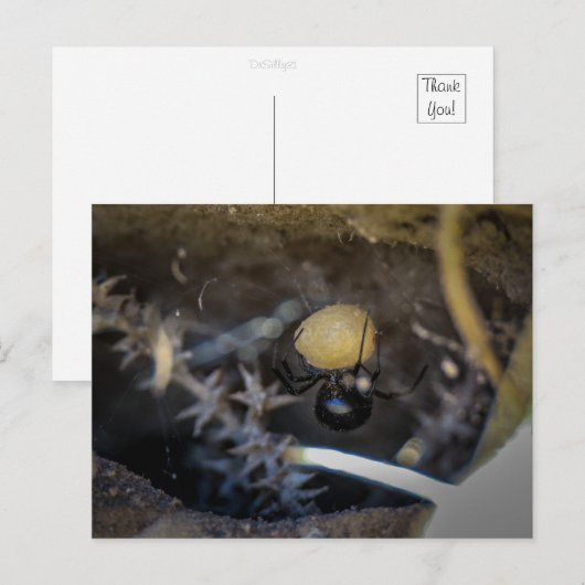 Moeder zwart briefkaart (Voorkant / Achterkant)