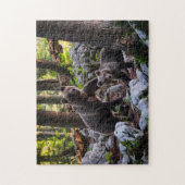 Moederbeer En Welp Slovenië Legpuzzel (Verticaal)