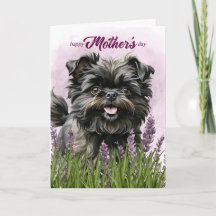 Moederdag Affenpinscher-hond in paars