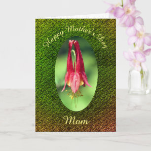 Moederdag Bedankt mama Columbine Flower Kaart