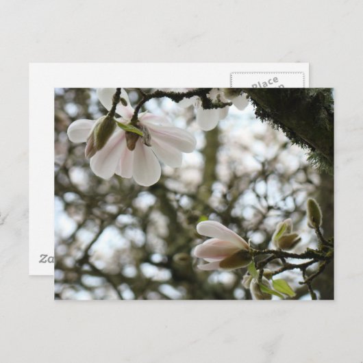 MOEDERDAG Bloeit 20 Geschenken Kaarten Moeder Moed (Voorkant / Achterkant)