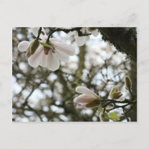 MOEDERDAG Bloesems 20 Cadeaubonnen Moeder Moeders Briefkaart