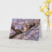 Moederdag bloesems kaart (Gele Bloem)