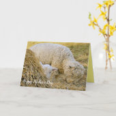 Moederdag, boerderij scène, baby met moeder, lam, kaart (Gele Bloem)