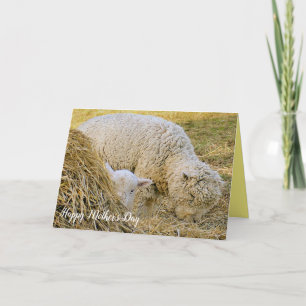 Moederdag, boerderij scène, baby met moeder, lam, kaart