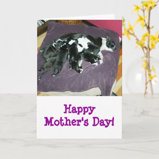 Moederdag-Boston Terrier-kaart Kaart (Gele Bloem)