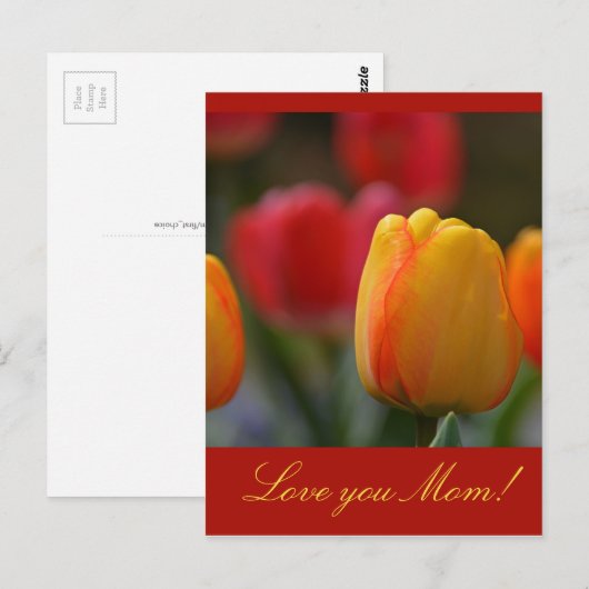 Moederdag Briefkaart (Voorkant / Achterkant)