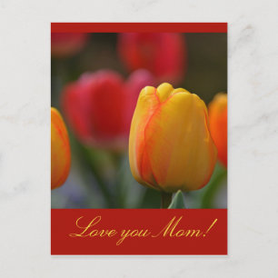 Moederdag Briefkaart