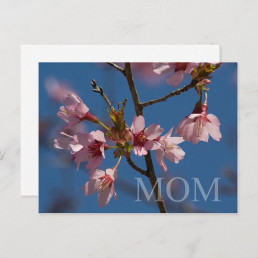 Moederdag Briefkaart (Voorkant / Achterkant)