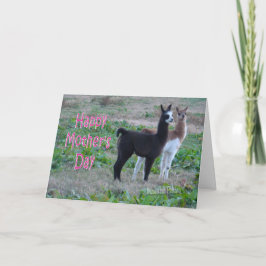 Moederdag Card-Llama kinder Kaart