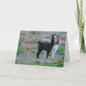 Moederdag Card-Llama kinder Kaart (Voorkant)