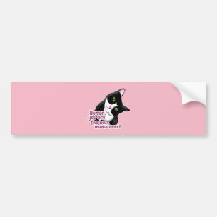 Moederdag Cat Bumpersticker