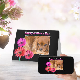 Moederdag Cavalier King Charles Margrieten Kaart