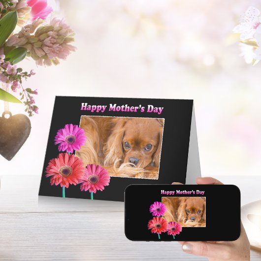 Moederdag Cavalier King Charles Margrieten Kaart