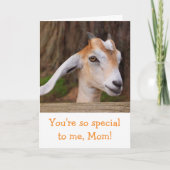 Moederdag Cute Baby Goat Kaart (Voorkant)