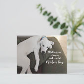 Moederdag Cute Exhausted White Puppy Dog Holida Feestdagenkaart (Staand voorkant)