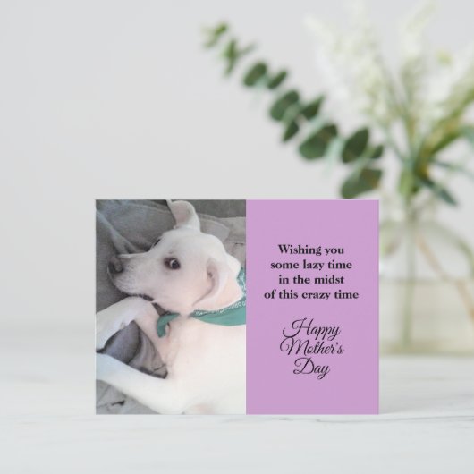 Moederdag Cute Lazy White Puppy Dog Lavender Ho Feestdagenkaart (Staand voorkant)