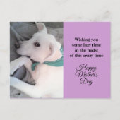 Moederdag Cute Lazy White Puppy Dog Lavender Ho Feestdagenkaart (Voorkant)