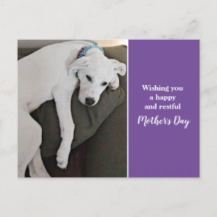 Moederdag Cute Sleepy White Puppy Dog Paars Feestdagenkaart