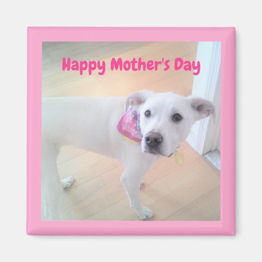 Moederdag Cute White Puppy Dog Roze Magneet (Voorkant)