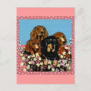 Moederdag Dachshunds Briefkaart