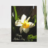 Moederdag Daffodil Card Kaart (Voorkant)