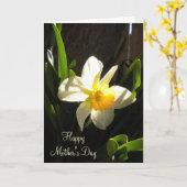Moederdag Daffodil Card Kaart (Gele Bloem)