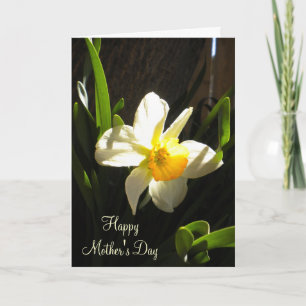 Moederdag Daffodil Card Kaart