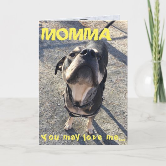 Moederdag die van Hond likken Kaart (Voorkant)